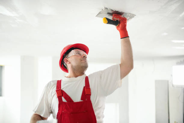 Best Black Mold Removal  in Tinton Falls, NJ
