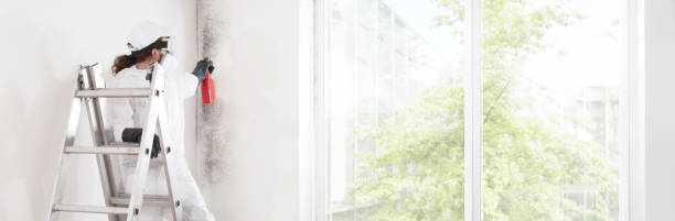 Best Dehumidification Services  in Tinton Falls, NJ