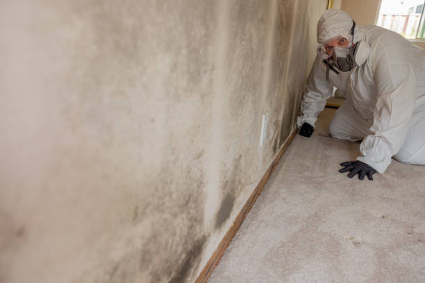  Tinton Falls, NJ Mold Removal Pros