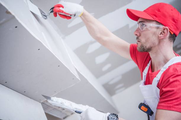 Tinton Falls, NJ Mold Removal Company